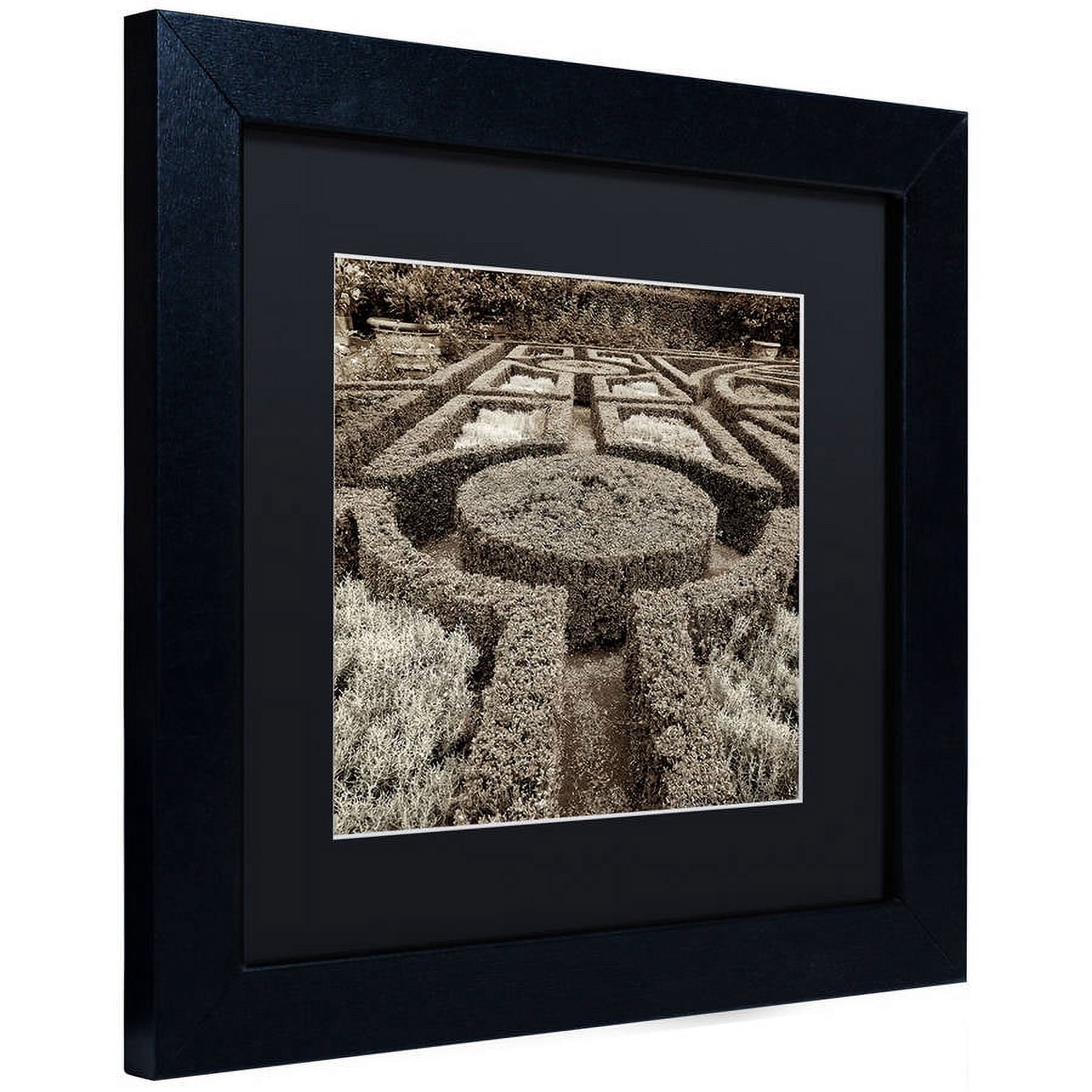 Trademark Fine Art "Tuscan Giardini I" Canvas Art by Alan Blaustein, Black Matte, Black Frame