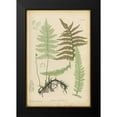 thumbnail image 2 of PI Collection 17x24 Black Modern Framed Museum Art Print Titled - Lastrea Thelypteris, 2 of 5