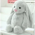 thumbnail image 3 of Conejito de peluche bordado con el nombre del niño Juguete de peluche personalizado hecho a mano Regalo para el primer niño de Pascua, 3 of 5