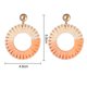 thumbnail image 2 of 2 pares de pendientes de aro con borla de rafia hechos a mano, joyería llamativa de moda para mujeres y niñas, 2 of 5