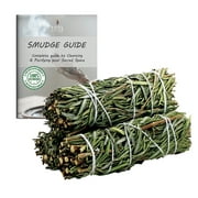 Ancient Veda 3 Pack Rosemary Sage Smudge Stick Bundles & Smudge Guide