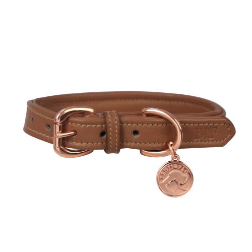Benji & Flo Deluxe Leather Padded Dog Collar