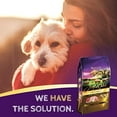 thumbnail image 6 of Zignature Limited Ingredient Grain-Free Pork Formula Dry Dog Food, 27 Lb, 6 of 8
