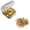Golden, variant on CEORPER 50Pcs Electric Guitar Bass Pickguard Screws Scratch Plate Mounting Screws