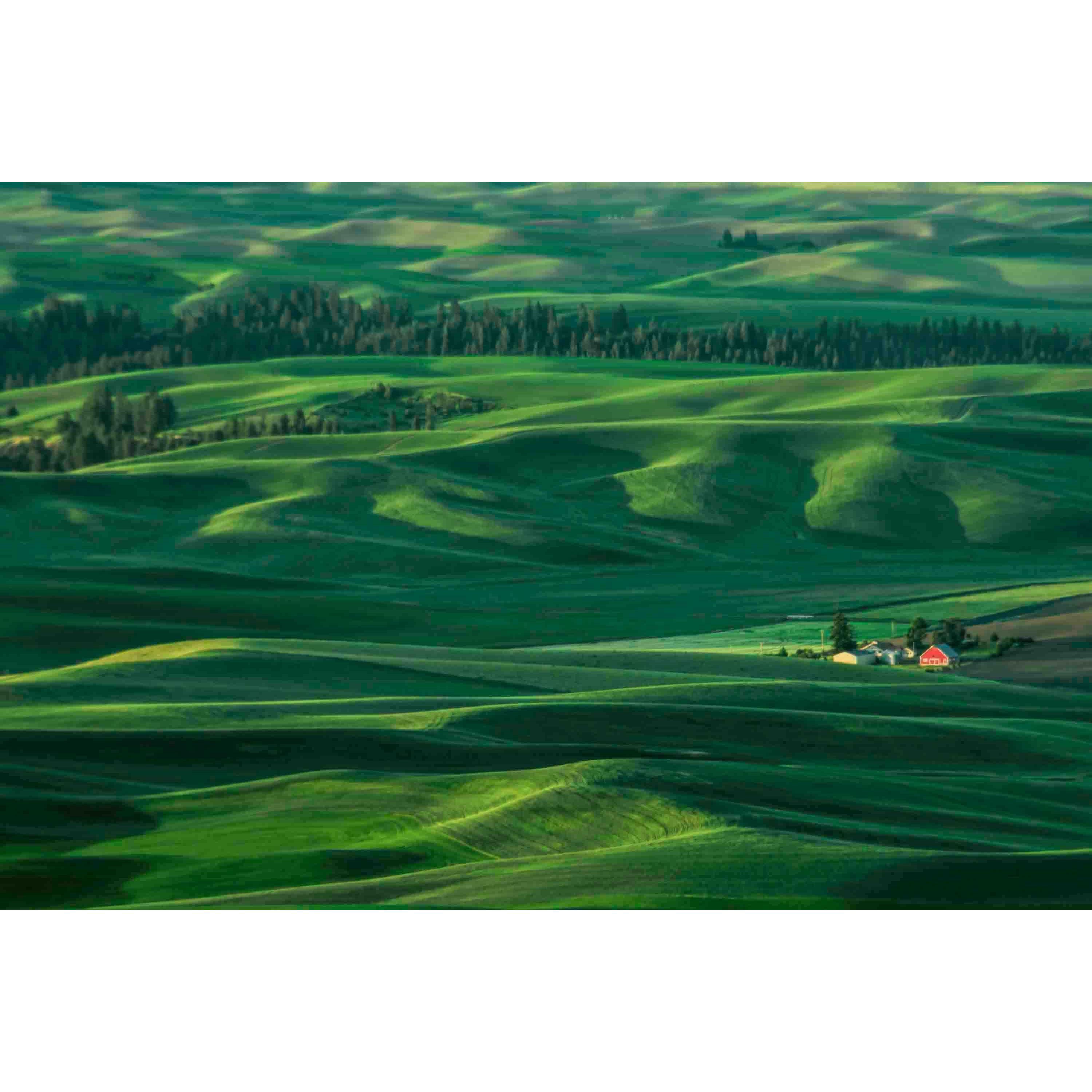 Marmont Hill "Red Barn in the Morning Light" Painting Print on Canvas