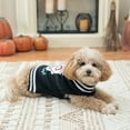 thumbnail image 4 of Vibrant Life Dog and Cat Clothes, Skull Halloween Pet Sweater, Black, XS, 4 of 7
