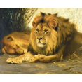 thumbnail image 2 of Wilhelm Kuhnert 18x15 Gold Ornate Wood Frame and Double Matted Museum Art Print Titled - Resting Lions (1913), 2 of 4
