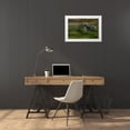 thumbnail image 3 of Malovrh, Milan 32x23 White Modern Wood Framed Museum Art Print Titled - Galloping, 3 of 4