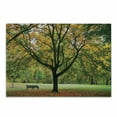 thumbnail image 1 of Tree Cutting Board, Third Season of the Year in the Park Dead Leaves Autumn to Winter Seasonal Picture, Decorative Tempered Glass Cutting and Serving Board, Small Size, Green Yellow, by Ambesonne, 1 of 1
