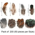 thumbnail image 2 of 200PCS Assorted Feathers, 4 Styles Chicken Feathers for DIY Crafts Dream Catcher Carnival Costume Party Mask Decoration, 2 of 7