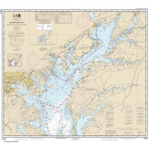 Chesapeake bay essay image