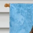 thumbnail image 3 of Carolines Treasures SS4146-FLAG-PARENT Springer Spaniel Flag  multicolor, 3 of 4