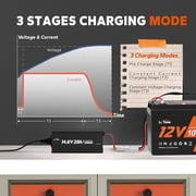 LiTime 12V 20A Lithium Battery Charger, 14.6V LiFePO4 Smart AC-DC Charger for Lithium LiFePO4 Deep Cycle Battery