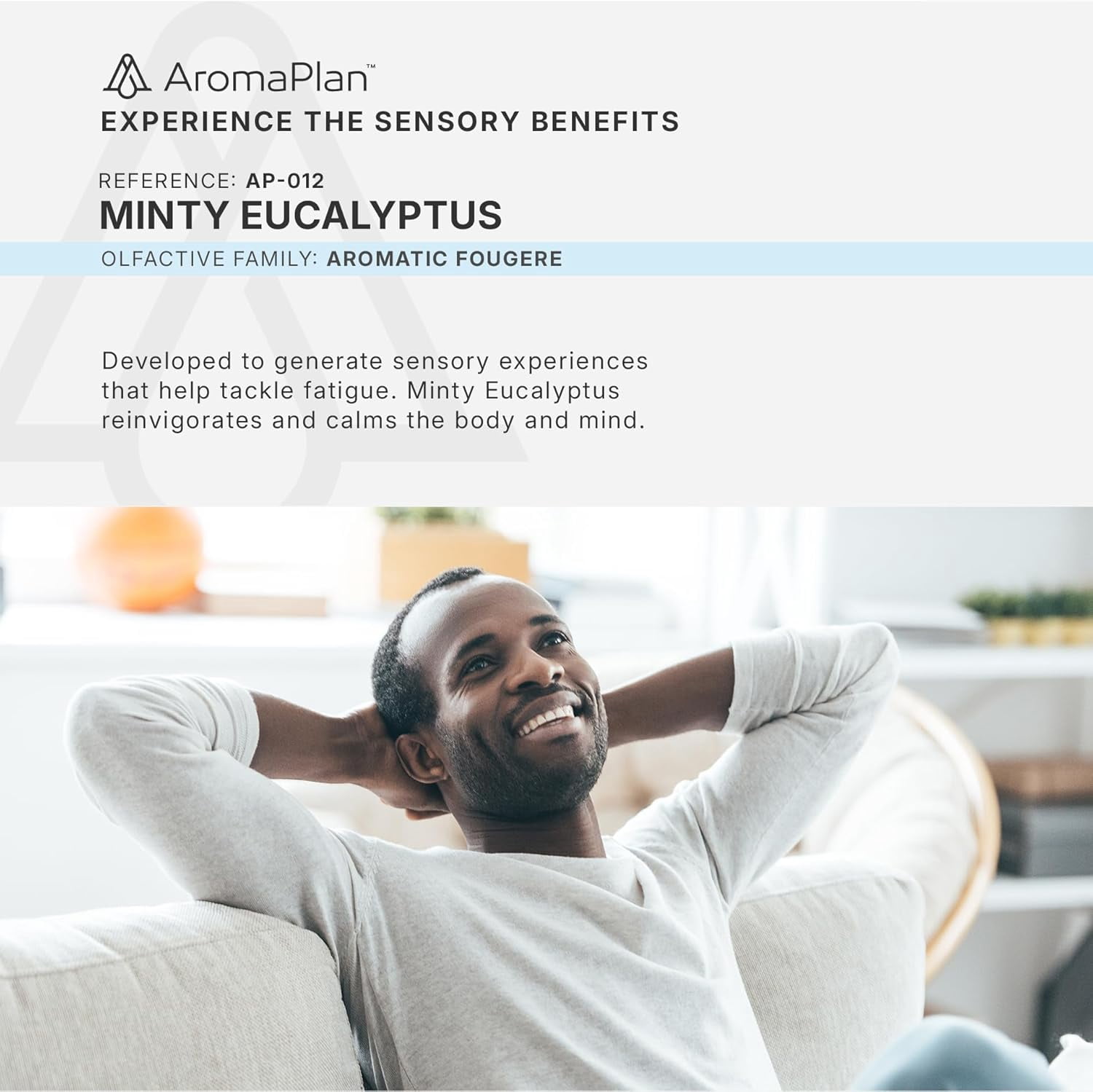 Aromaplan Minty Eucalyptus Luxury Diffuser Oil, 16 fl oz (473 mL) - Hotel Scent, USA Made