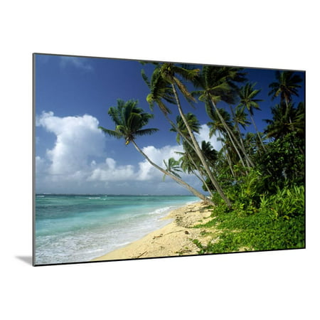 Fiji One of the Best Shelling Beaches in the World Wood Mounted Print Wall (Best Shelling Beaches In Texas)