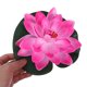 thumbnail image 5 of unbranded 3Ud Con Flores De Loto Artificiales Y Almohadillas Para Jardín, 5 of 8