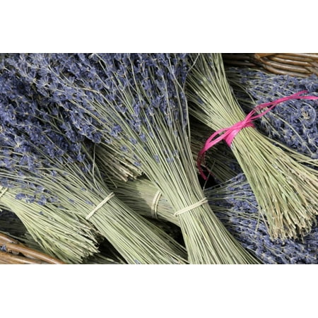 Cote Dazur Collection - France, Provence Alpes Cote Dazur, Vaucluse, Roussillon. Lavender Print Wall Art By Kevin Oke