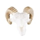 thumbnail image 1 of 2x Cráneo de animal de resina - Accesorios de decoración de acuarios y viveros no tóxicos para de mascotas Divertidos Fernando  Grandes decoraciones para acuarios, 1 of 8
