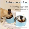 thumbnail image 1 of Bowl for Dog Cat, Sloped Bowl Non-Slip Modern Elegant Melamine Support with Removable Solid Stainles, 1 of 5