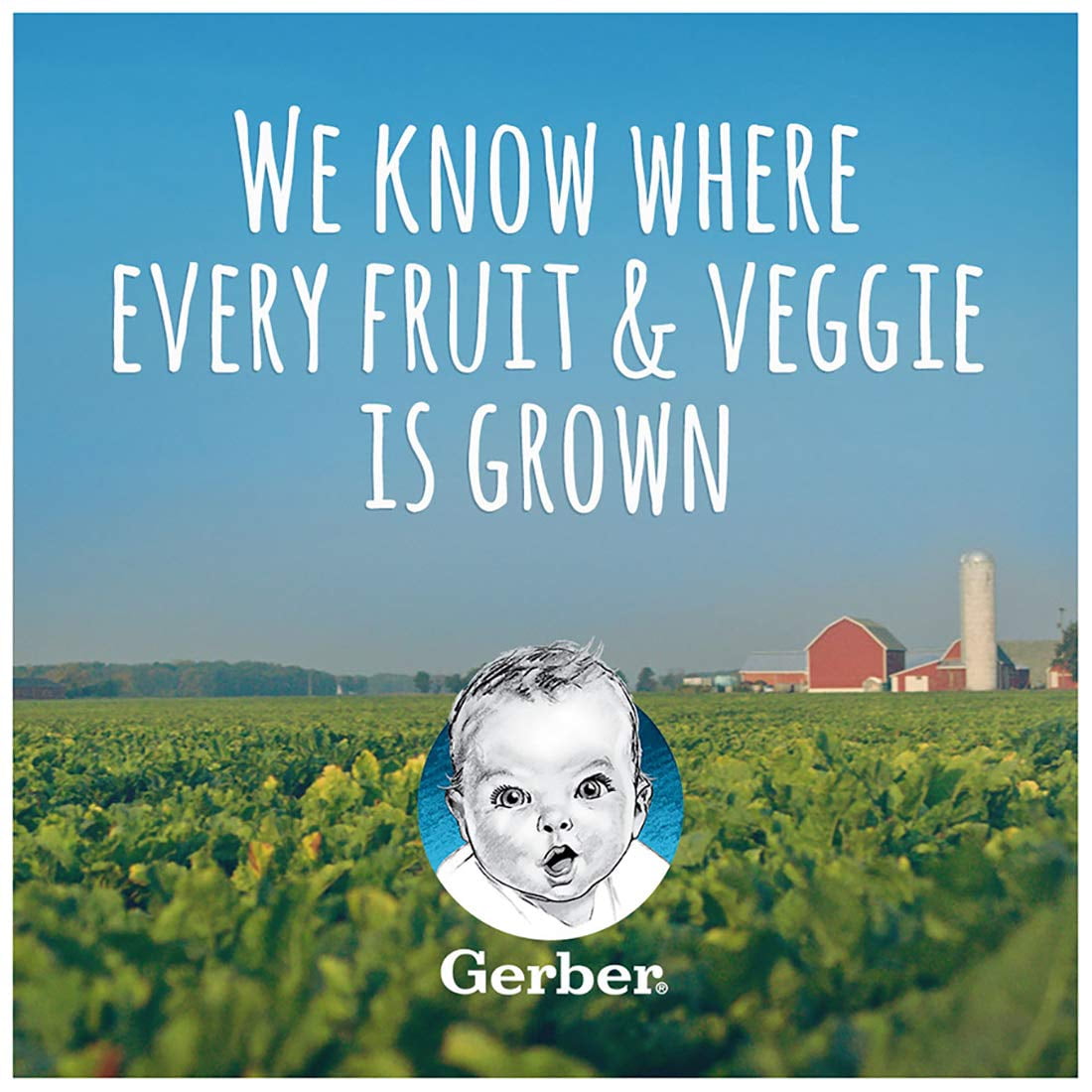 Gerber 1st Foods Baby Food Jars Organic Banana - 4 Ounce, 10 Count