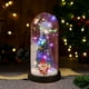 thumbnail image 5 of Luz nocturna de árbol de Navidad brillante con domo de cristal - Decoración y regalo navideño de escritorio, 5 of 6