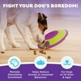 thumbnail image 3 of Outward Hound by Nina Ottosson Dog Treat Maze Dog Puzzle Enrichment Toy, Level 2 Intermediate, Green, 3 of 9