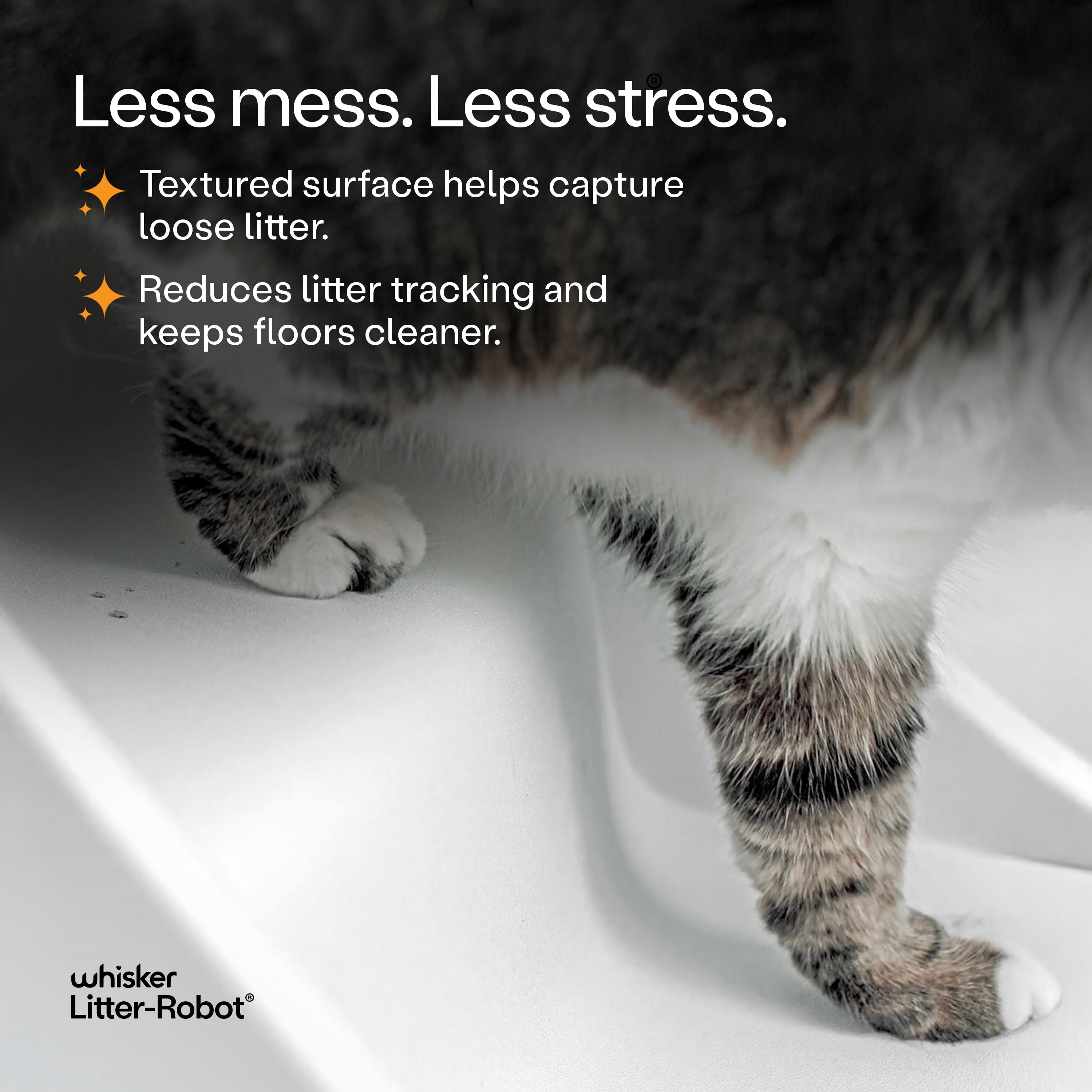Litter-Robot 4 Ramp by Whisker, White - Cat Ramp for Litter Box, Custom Fit for Litter-Robot 4, Non-Slip Rubber Feet, Suitable for Small & Older Cats, Made in the USA