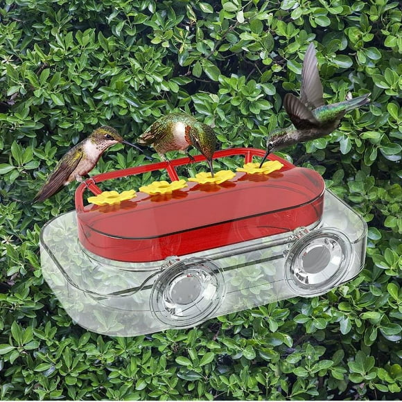Comedero para colibríes de ventana Comederos para colibríes de ventana Comedero de agua para colibríes Comedero para pájaros práctico y duradero