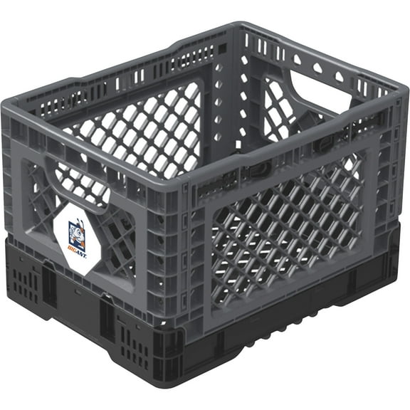 BIG ANT Collapsible Smart Crate, 6-Gallon, 132-Lb. Capacity, 11 5/8in.L x 15 9/16in.W x 10 1/4in.H, Model# IP403026