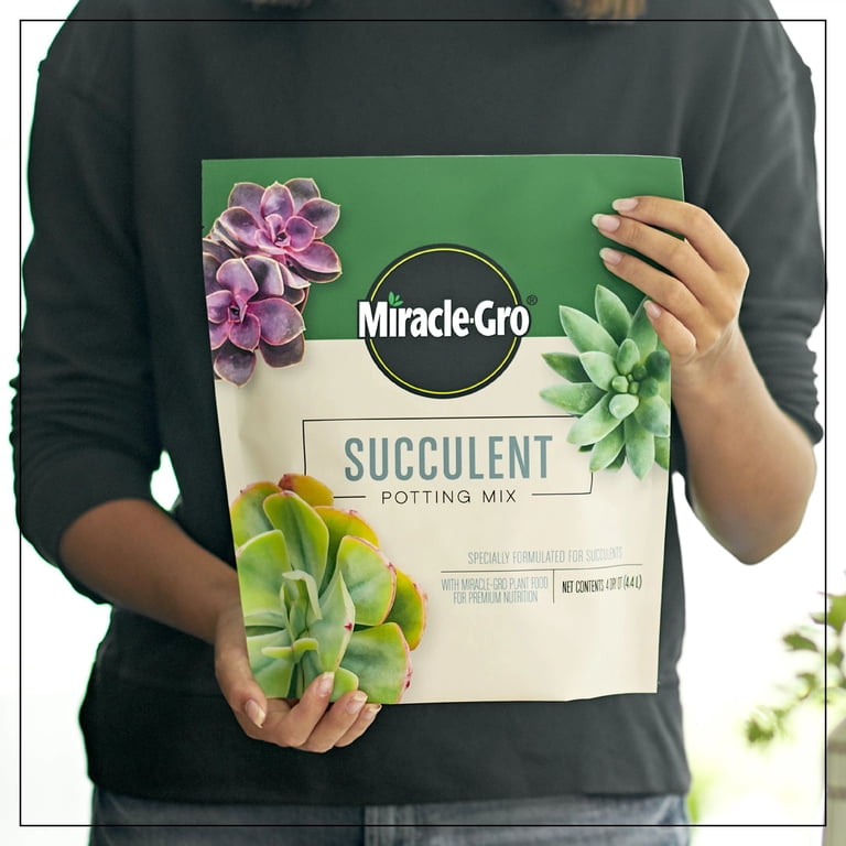 Miracle-Gro Premium Succulent Potting Mix, Fast-Draining Soil for Indoor  Cactus, 4 qt. - Walmart.com