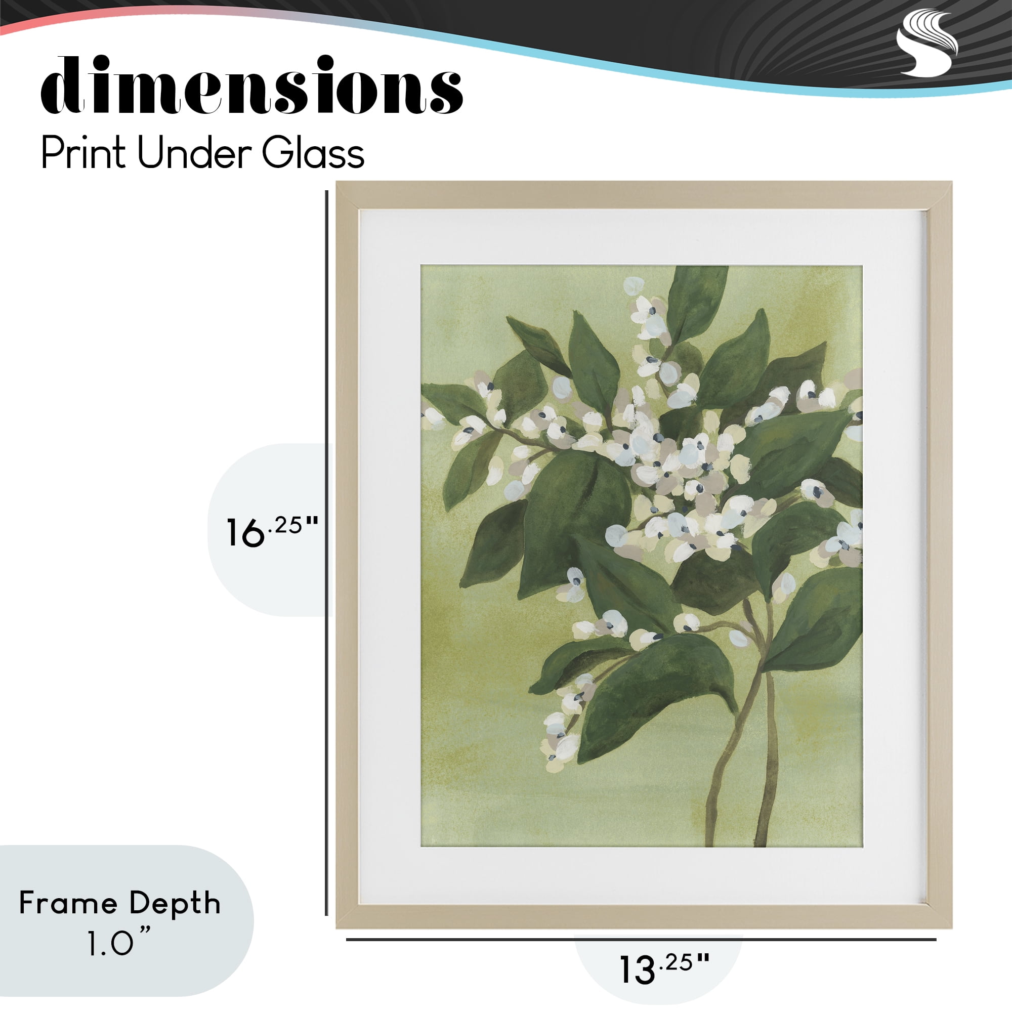 Stupell Industries Verdant Branch Bloom Birch Framed Print Under Glass, design by June Erica Vess