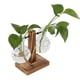 thumbnail image 3 of Florero, Maceta Retro DIY Jarrón Hidropónico De Vidrio De Alto Borosilicato Para Flores Para El Hogar Para La Oficina Para Hidroponía, 3 of 7