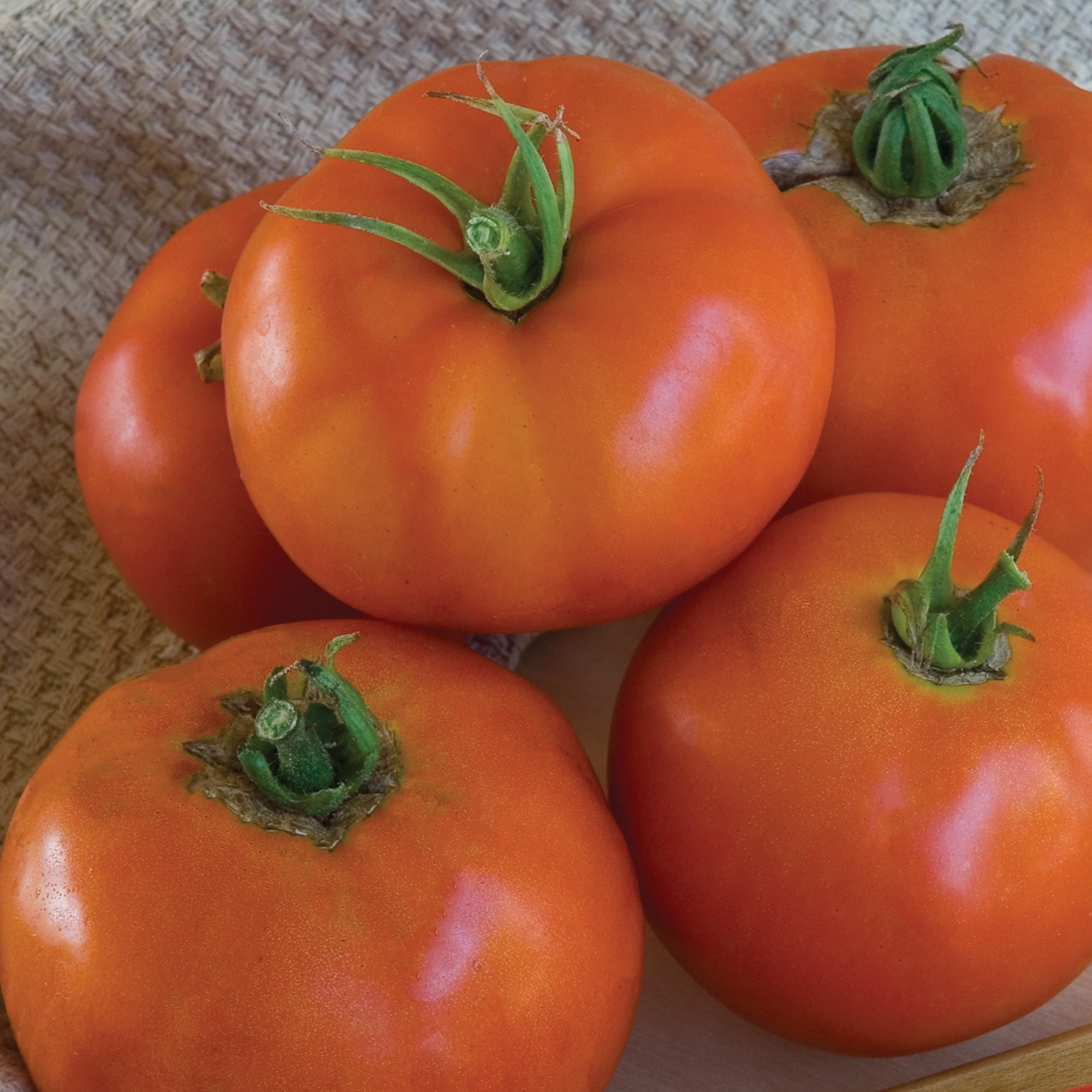 Burpee Super Beefsteak Tomato, Plant Seeds for Home Garden