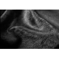 thumbnail image 2 of Natural Geneva Cowhide Rug | Black | 5'x7', 2 of 6