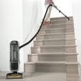 thumbnail image 3 of Shark Navigator Pet Upright Vacuum, Pet Friendly, 3XL Dust Cup, Self-Cleaning Brushroll, ZU62 Grey, 3 of 7