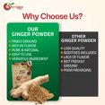 thumbnail image 7 of NY SPICE SHOP Ginger Powder - 1 Pound - Ground Ginger Root Powder - Great Flavor - Highly Aromatic, 7 of 7