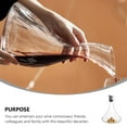 thumbnail image 3 of IFANLANDOR 1Pack Cool Decanter with Fast Decanting Function for Wine Connoisseurs and Parties, 3 of 8