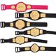thumbnail image 1 of Juego de 6 cinturones de figuras de acción de TNA Jakks TNA 728028085174, 1 of 1