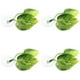 thumbnail image 5 of 4 Uds Betta Fish Leaf plástico doble hoja Betta punto de descanso con ventosa para tanque de agua de 5?10L, 5 of 8