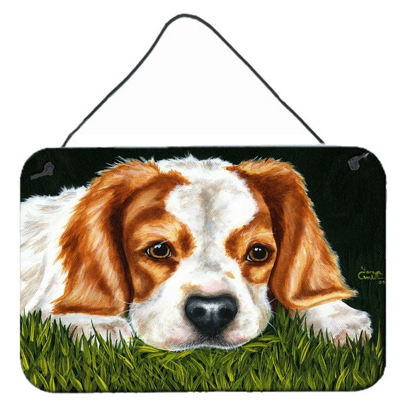 Carolines Treasures AMB1395DS812 Cavalier Spaniel in the Grass Wall or Door Hanging Prints  8x12 multicolor