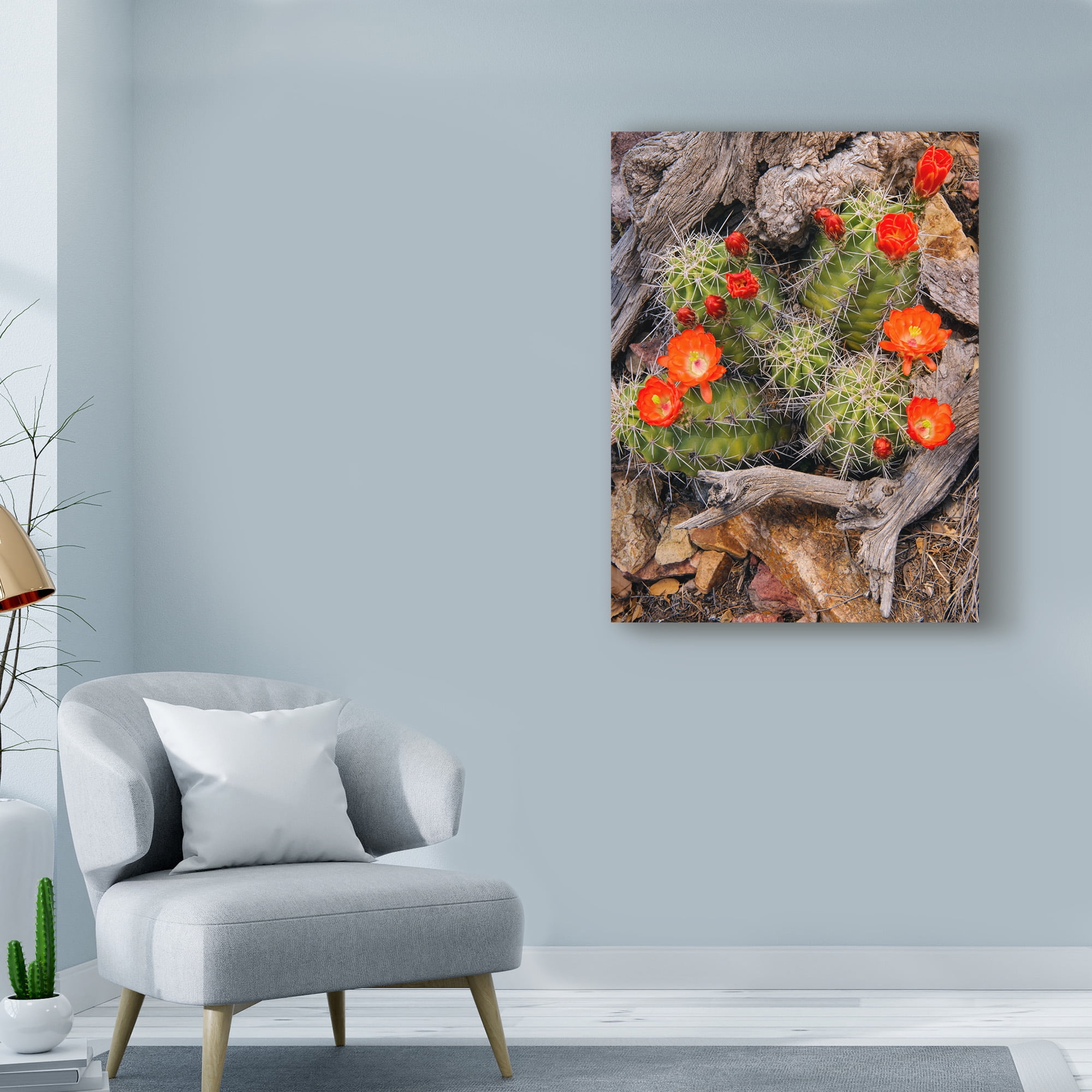 Trademark Fine Art 'Claret Cup Cactus' Canvas Art by Michael Blanchette Photography