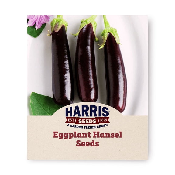 Harris Seeds - Hansel F1 Eggplant Seeds - Treated - Non-GMO - 50 Seeds