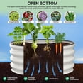 thumbnail image 4 of 2 - Pack Round Galvanized Raised Garden Bed - 2FT - Outdoor Flower & Vegetable Bed - Heavy - Duty & Open - Bottom Design, 4 of 9