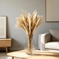 thumbnail image 4 of Dried Pampas Grass Decor Set – Faux Bunny Tails and Pampas Grass Bundle for Boho Home Table Wedding Farmhouse Party Decoration, 4 of 6