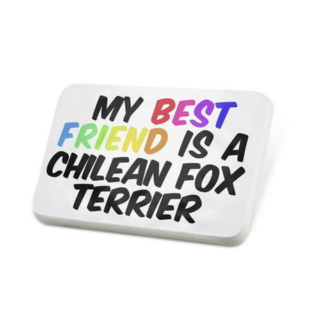Porcelein Pin My best Friend a Chilean Fox Terrier Dog from Chile Lapel Badge –