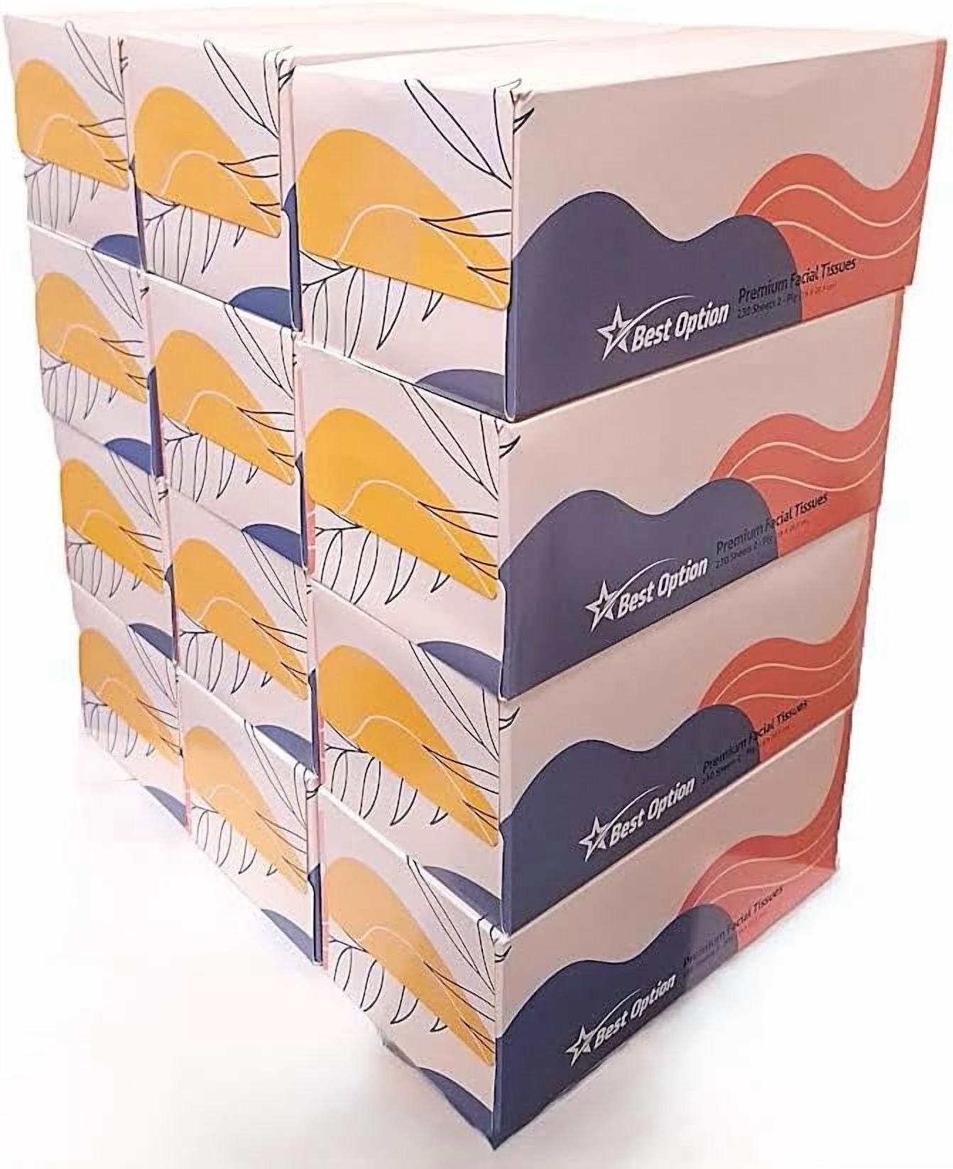 Best Option 2-Ply Facial Tissue, White, 12-Box Pack photo 2