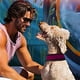 thumbnail image 5 of Arnés para perros de seguridad con rayas multicolores reflectantes 3M de 6 colores Blueberry Pet, 5 of 5