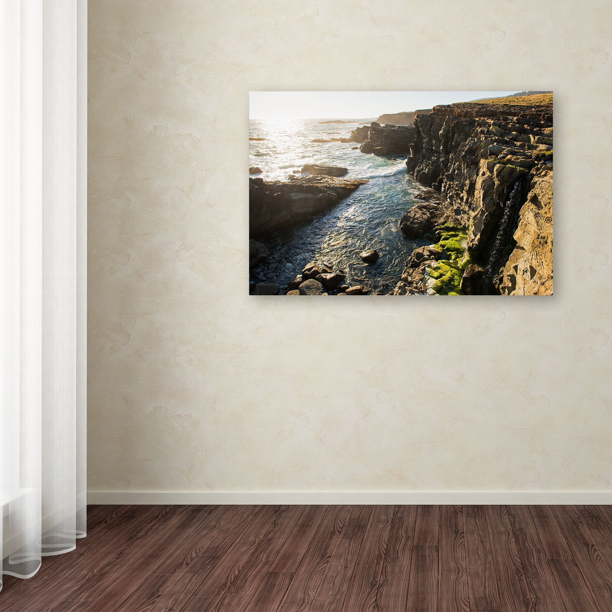 Trademark Fine Art 'Wild Sonoma Coast' Canvas Art by Lance Kuehne