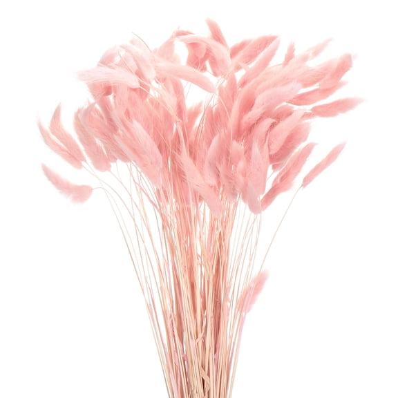 Uxcell 120pcs Natural Rabbit Bunny Tails Dried Flowers 17" Mini Pampas Grass Lagurus Ovatus Bunch for Floral Wedding Decor, Light Pink