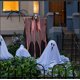 thumbnail image 4 of Decoracion Halloween Terror, 1.2m Fantasma Colgante de Halloween con Telaraña, Esqueleto Colgante Fantasma Volador Decorativo, 4 of 5